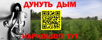 ПСИЛОЦИБИНОВЫЕ ГРИБЫ Донской