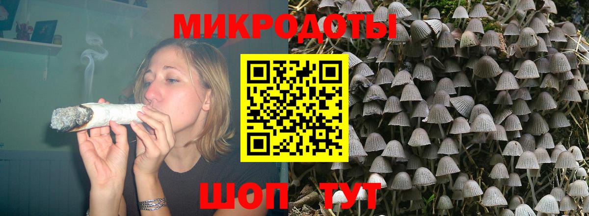 Псилоцибиновые грибы GOLDEN TEACHER  Вход с VPN  Псилоцибиновые грибы ЛСД  Старая Русса 
